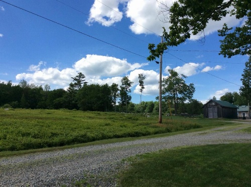 Blueberry Fields Bed & Breakfast image 10